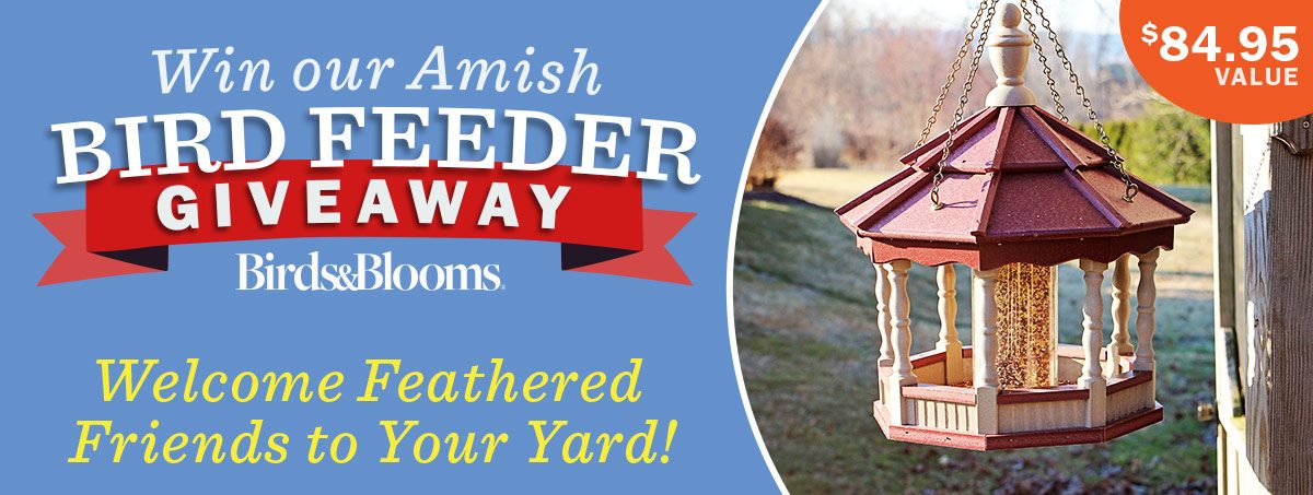 Birds & Blooms - Amish Bird Feeder Giveaway