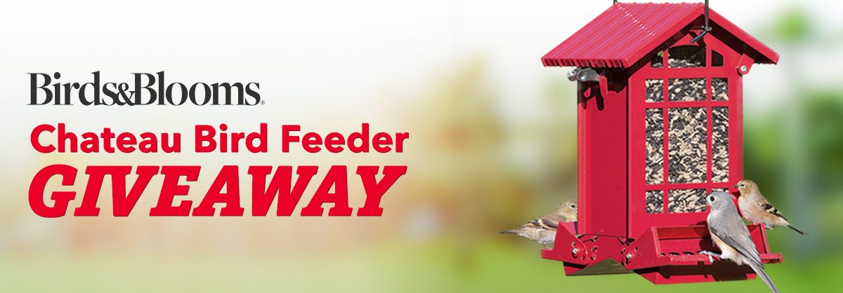 Birds & Blooms Chateau Bird Feeder Giveaway