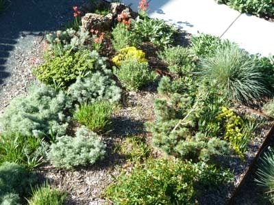 Xeriscaping: Late spring